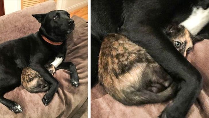 93fab8588fa3abe91c853177b4