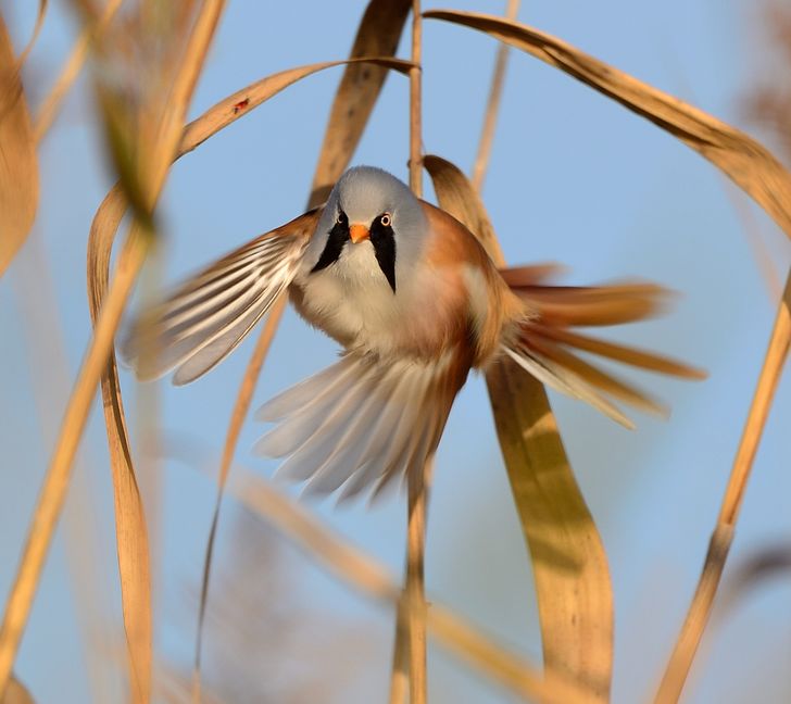 94005159c2afa089f2c5ee78c4