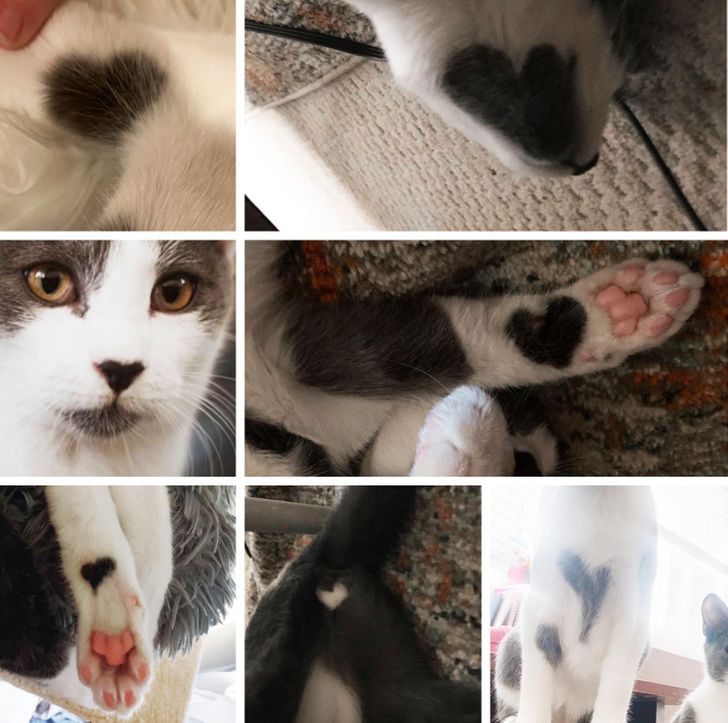 9405d05cc1b3d049e7219f1d2c