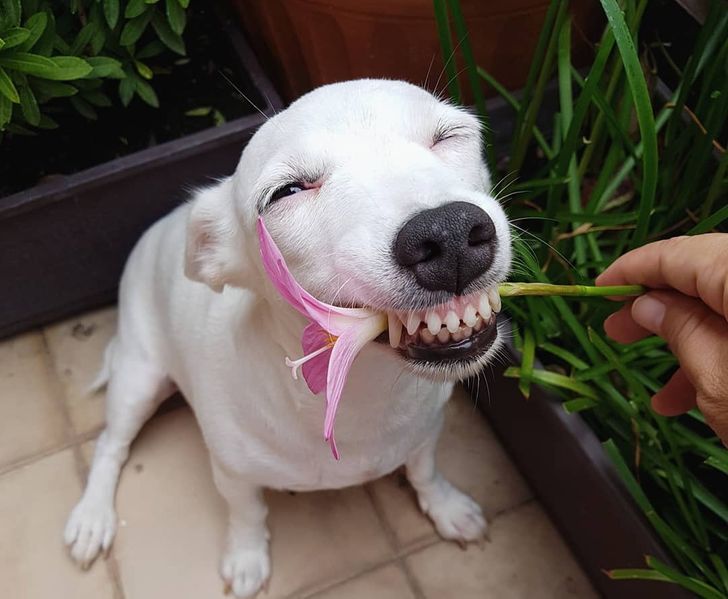 9406d05808b40cb6aca6f907f3