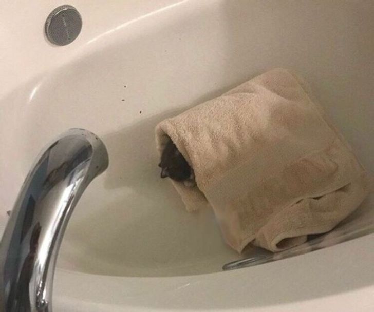 9407985cf19a41dc7df0d541cd