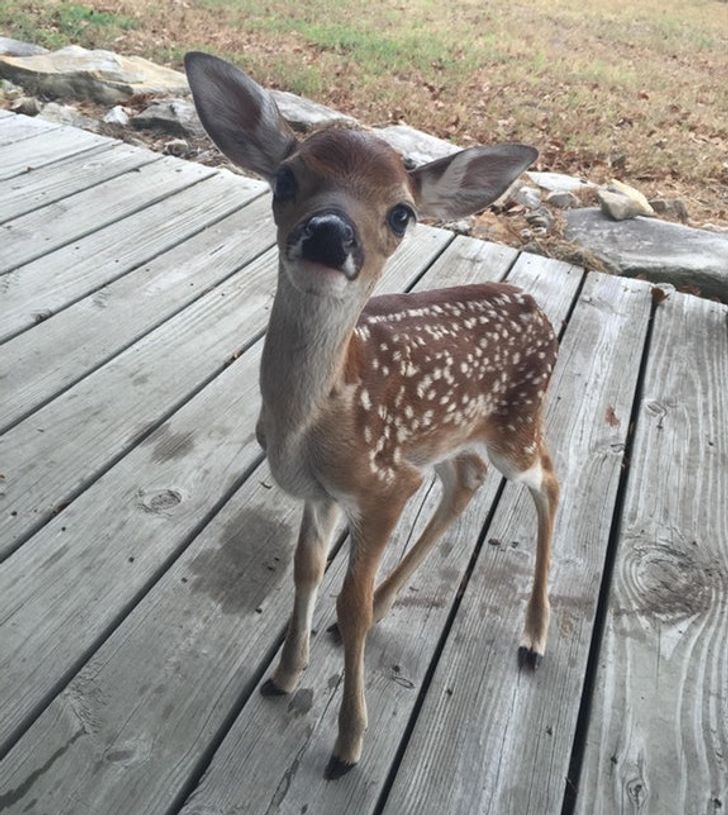 94086e54f08faca1d1fc8c5551