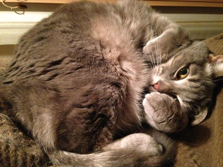 9408e25a60b40185a9cad568a8