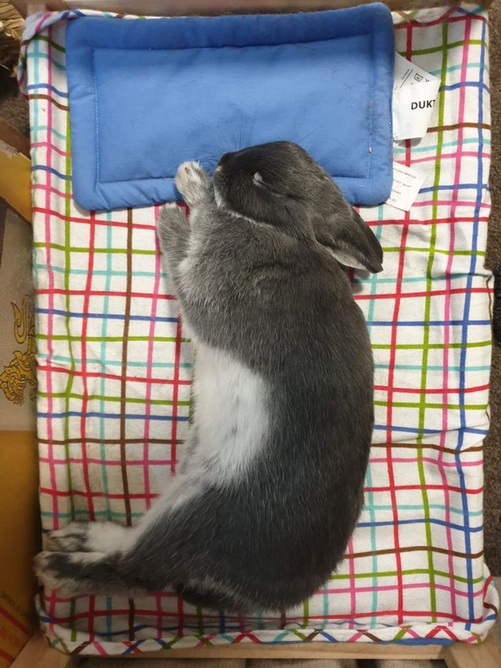 9412315dcdac1c655e8d4fe8a9