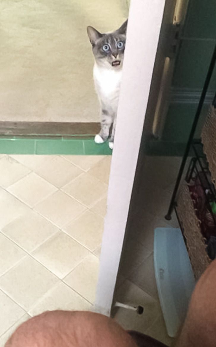 9415b35d068d6a62d28d877714