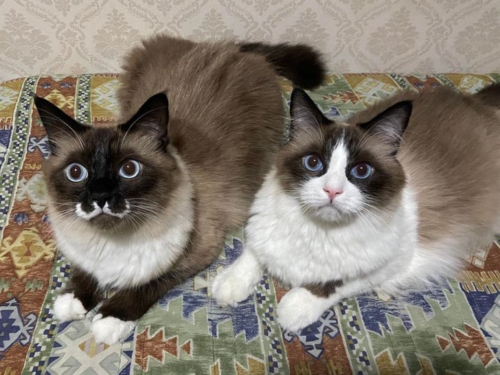 9416ff5c4a82eb9f3b9605706f