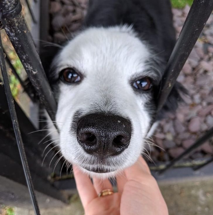 941b805ba4a6ba92bfc8ba3a64