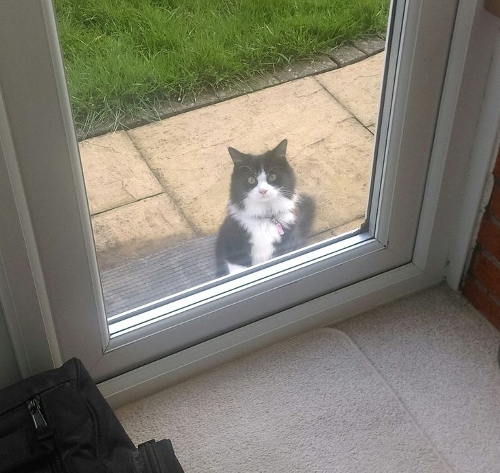 941e4b5b38aa9ce0022a3b5470