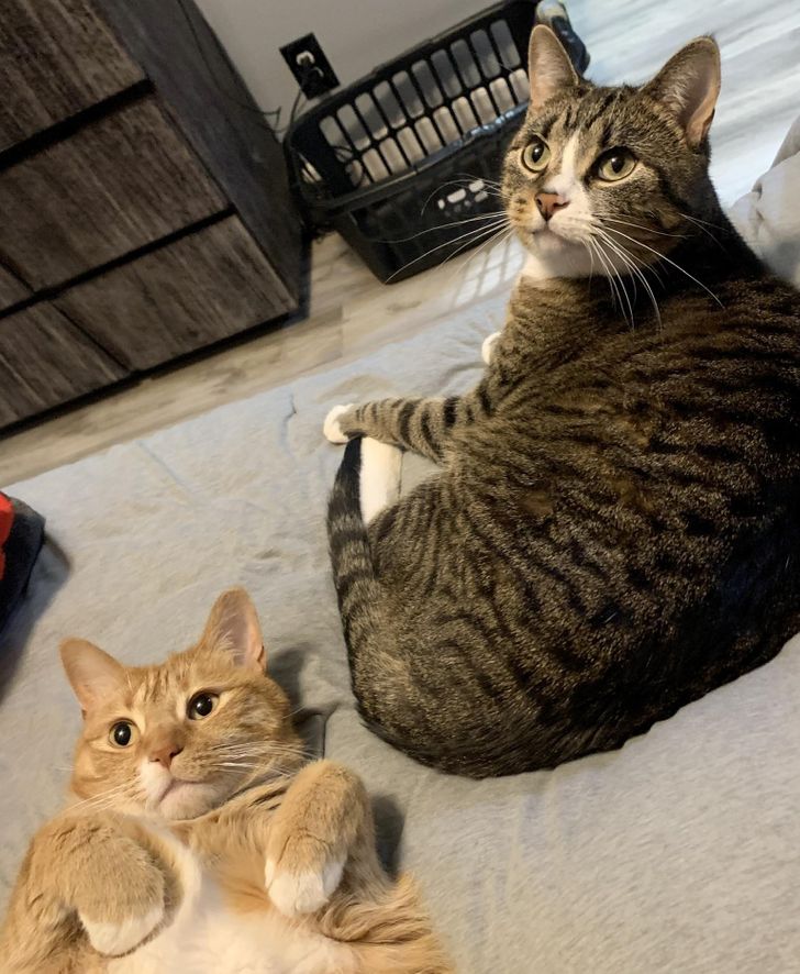 9424305f6891aee71ab8972323