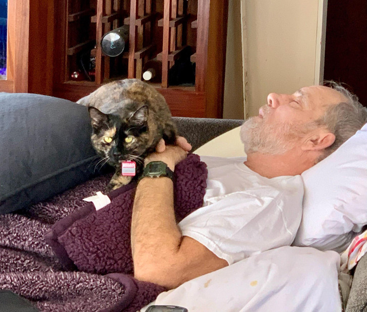 9424925ea8bffea22f507ba1f4 9424925ea8bffea22f507ba1f4