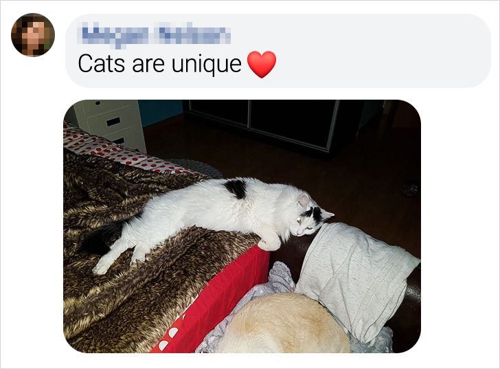 9425425eed81545b108f532388