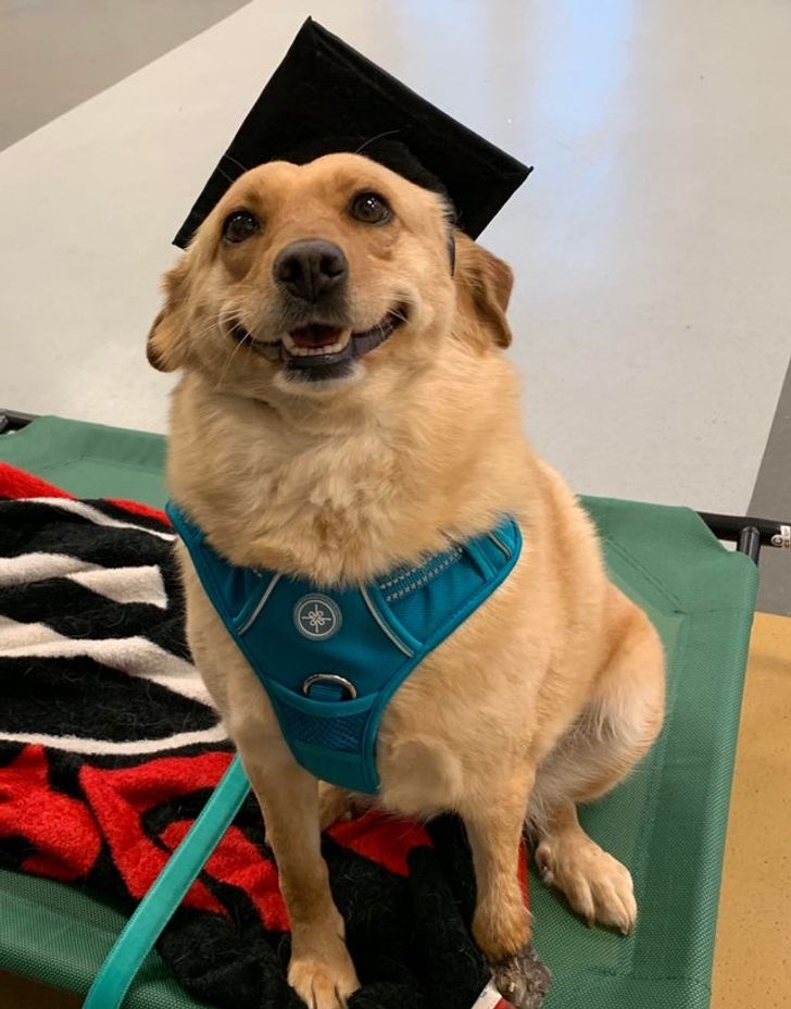 94259e50df8e26eb61d8f5c5da