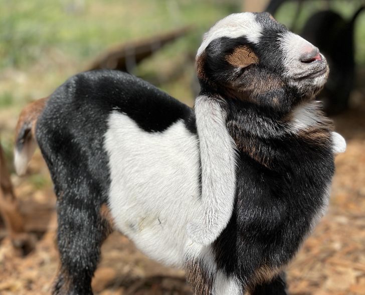 94269e579fb90507eaebb3b50e