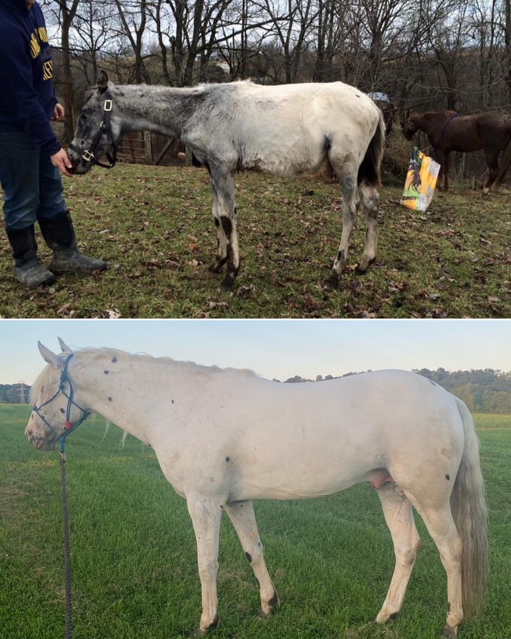 942e6351a49861f309ec760090