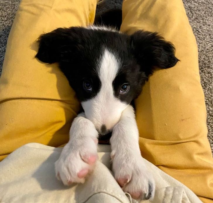 9447935fa29d13cf47d145b8ae