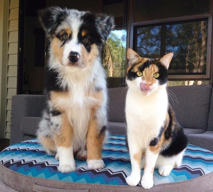 9449d95091ae3090ac0cd1ee0a