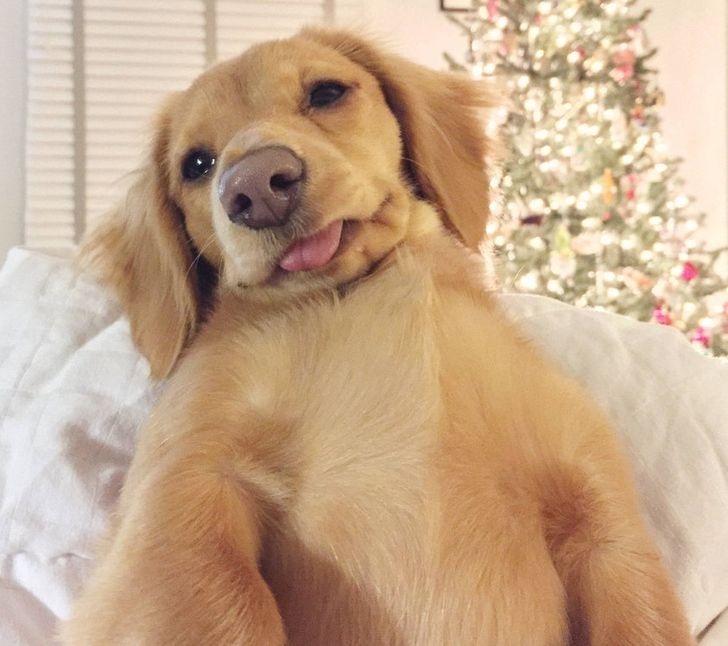 944f7f54e5b78912480a85f49b