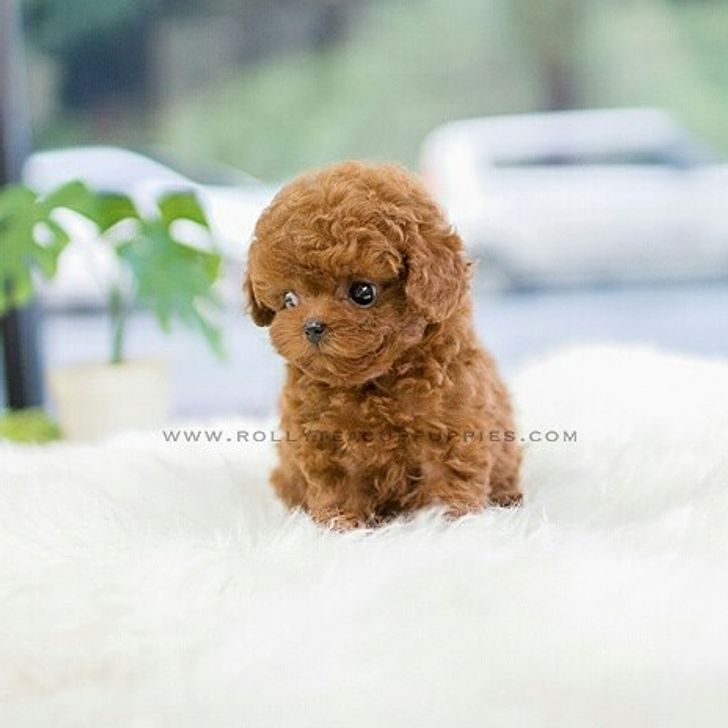 94536f599eb1748445befc72b7