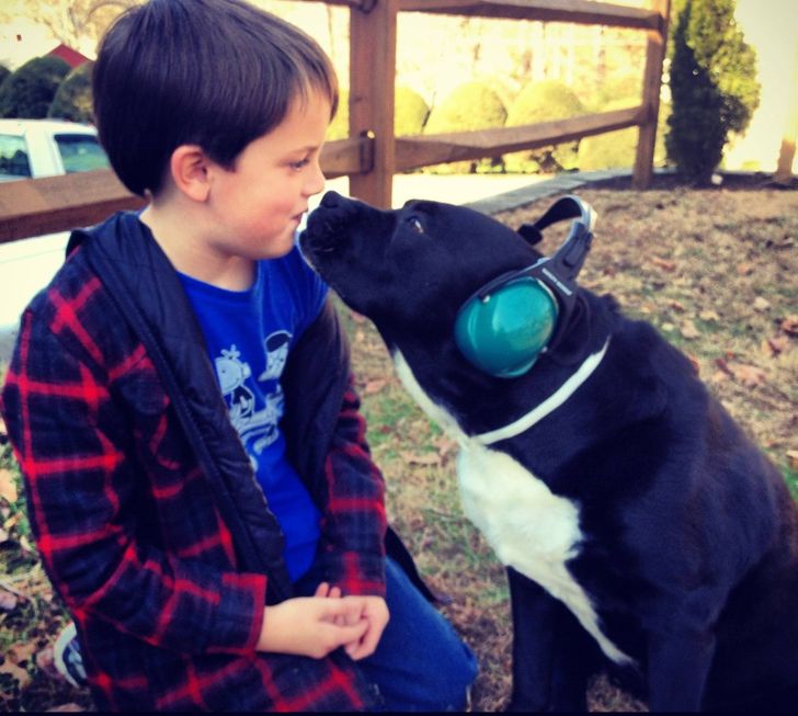 94541d508a859939765dcf58f6