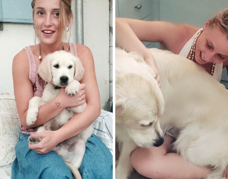 9454d65f589ff6dc73943533d2