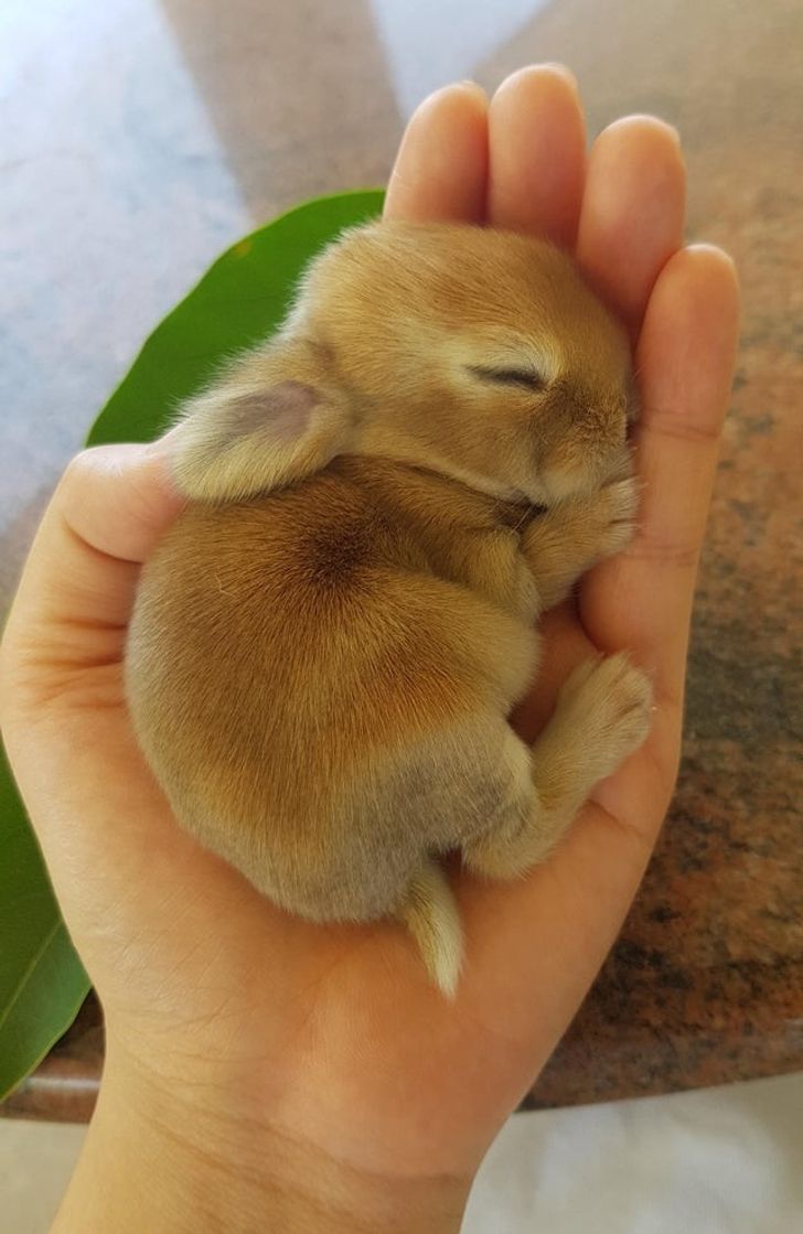 945a3459228c55a96502dba9b0