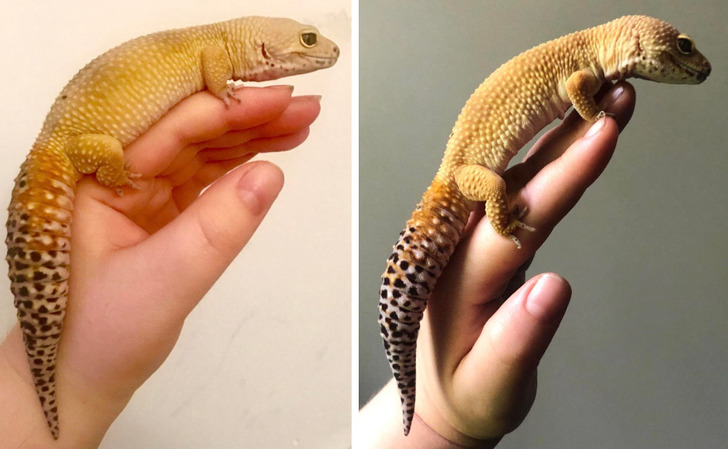 945ae65b5d8051241fca66edcb