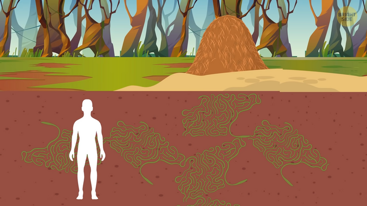 946172525a905b0b66cfdf044b 946172525a905b0b66cfdf044b