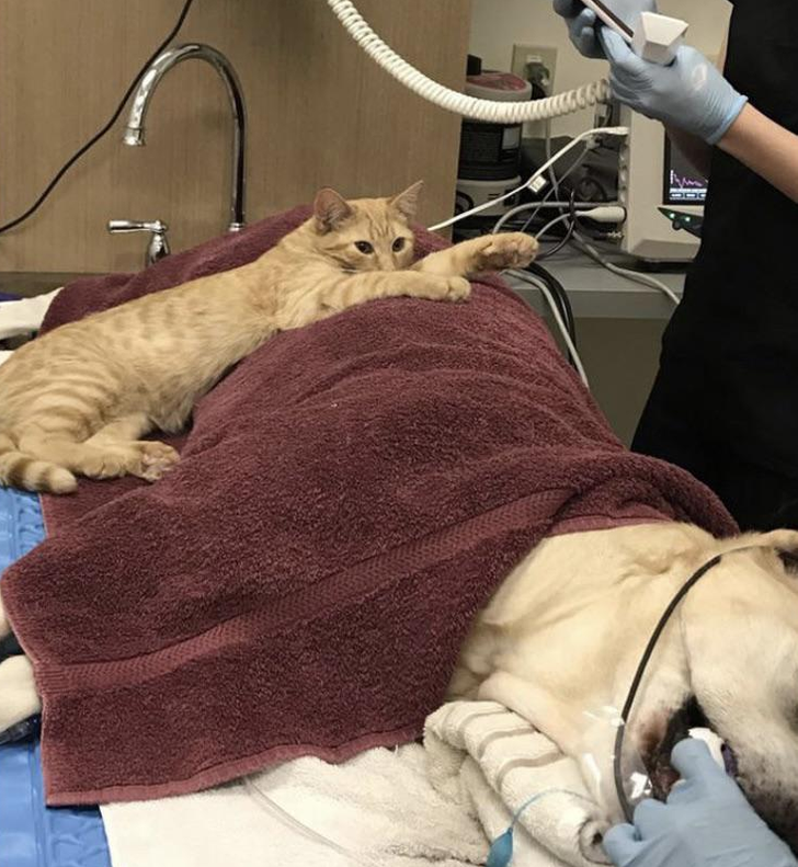 9464805b808d1d9f63f3361d09