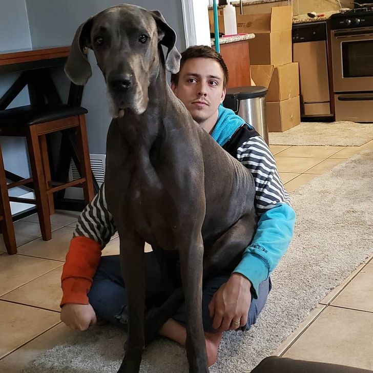 947494535a87a5d90d42aedfa5