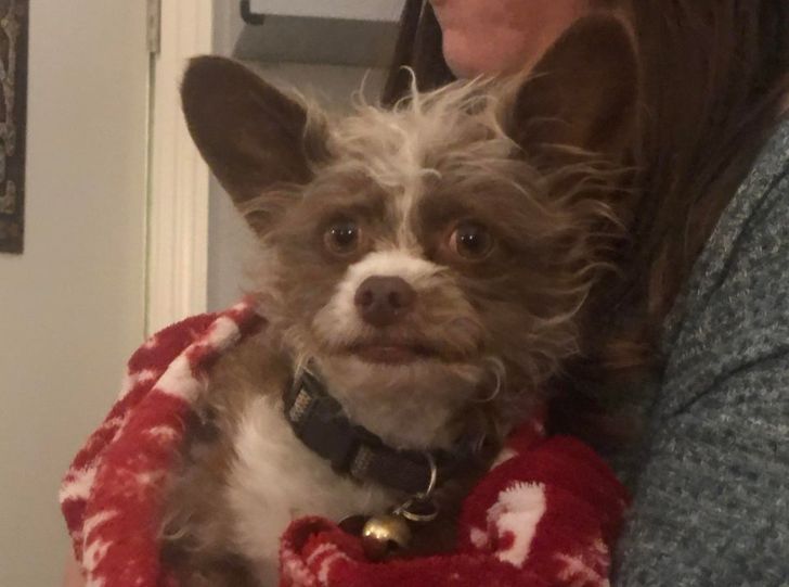 947a515dae81656c535fcb8df8