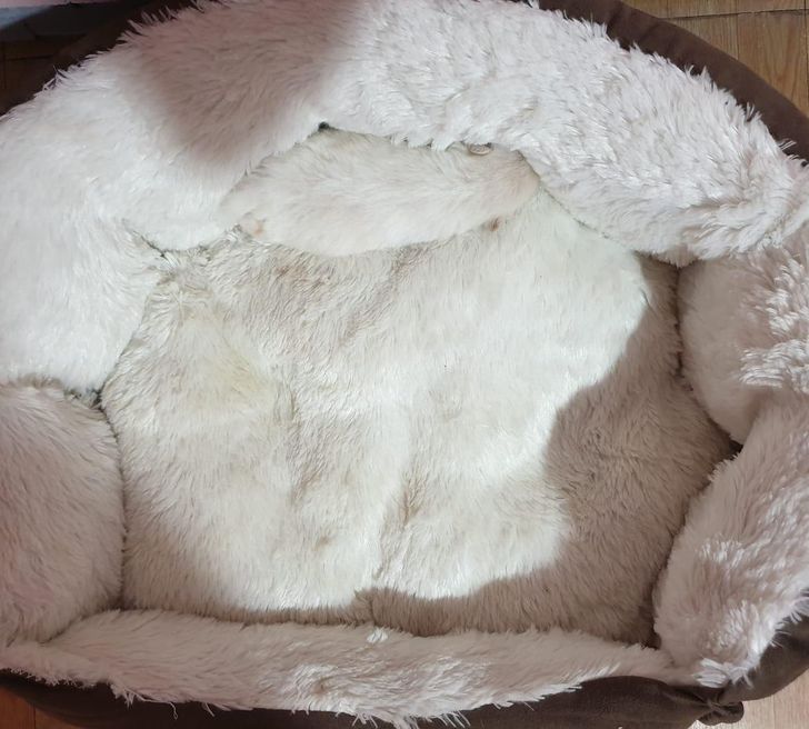 947e695baf92ffc0853f95c1d9