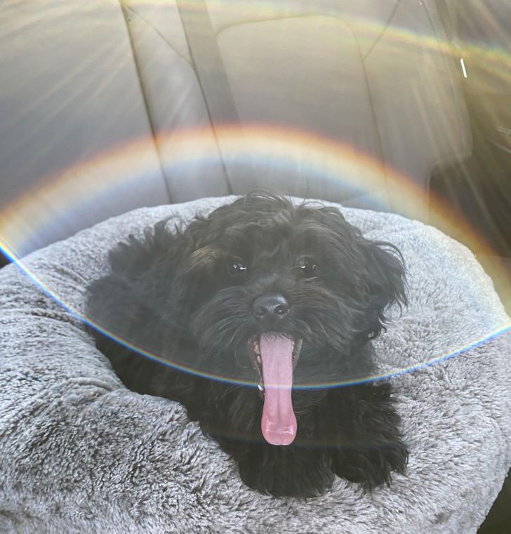 94830e50e48e2e3b6961a5a163