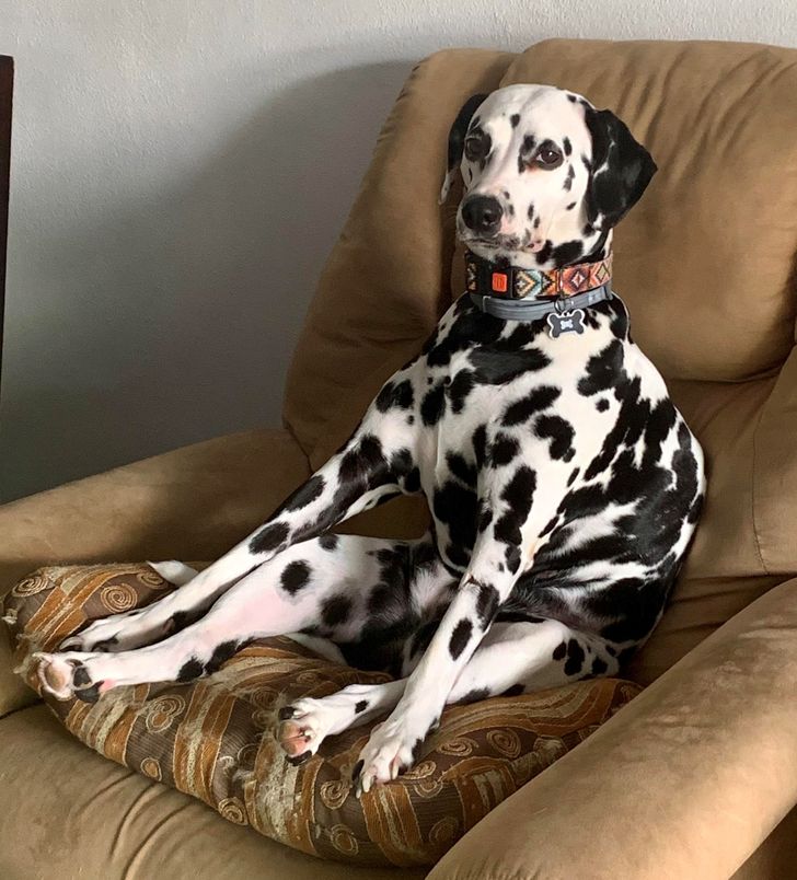 948d2b5fa1b6a1b8a2a352c44b