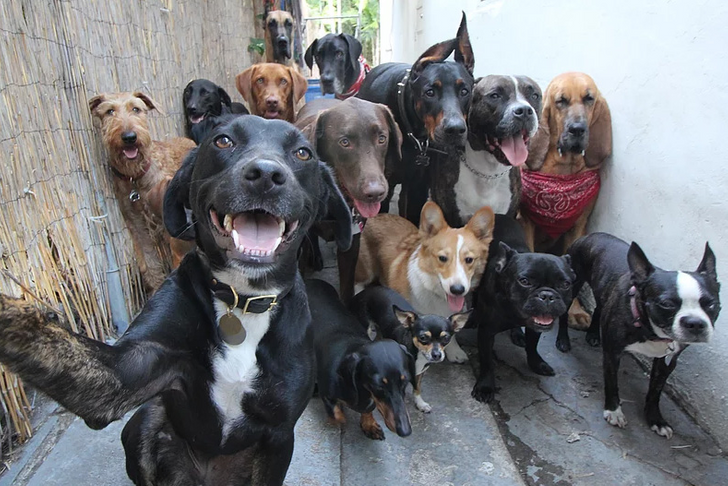 94919256d59fff029605f3e393