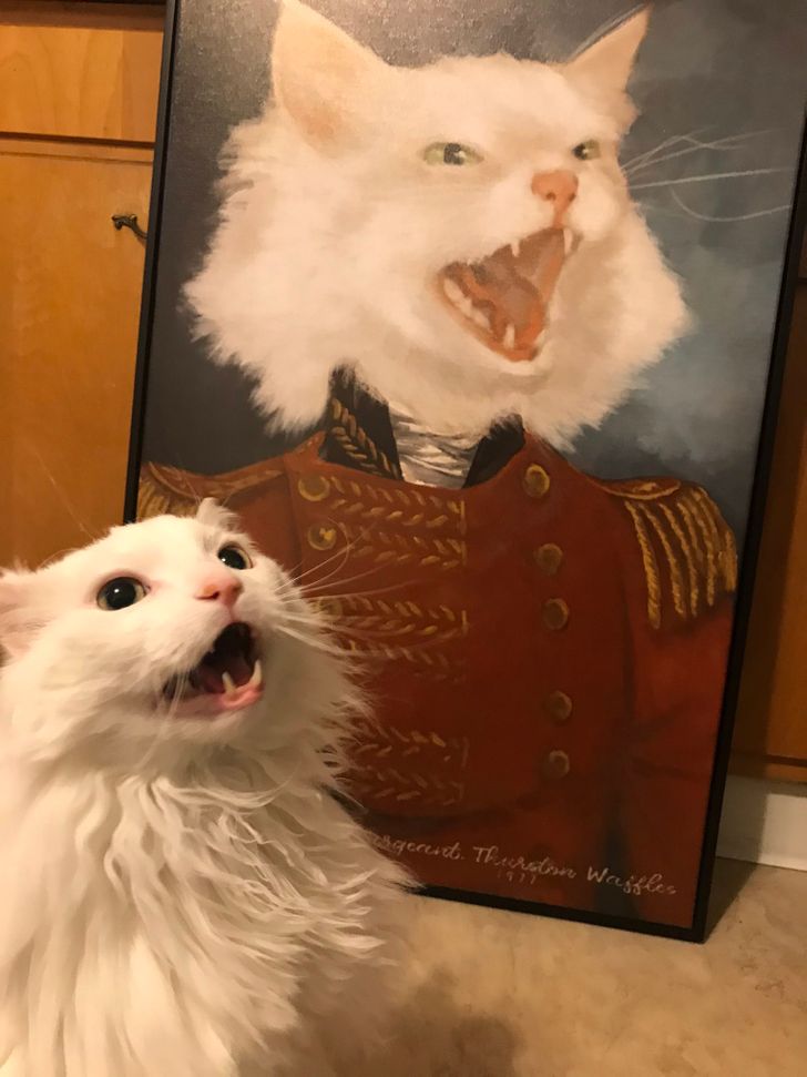 949bf3567d91c49de946b6c36b