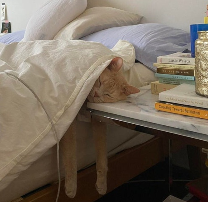 94a9dc5bdbb01e344746a206a1