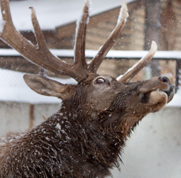 94afa056d0aed86fc3b65d6fa5