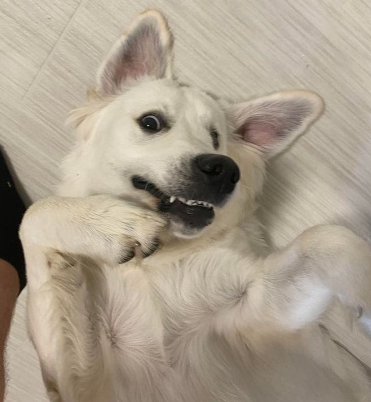 94bf475082b71d06bb774ac5e2