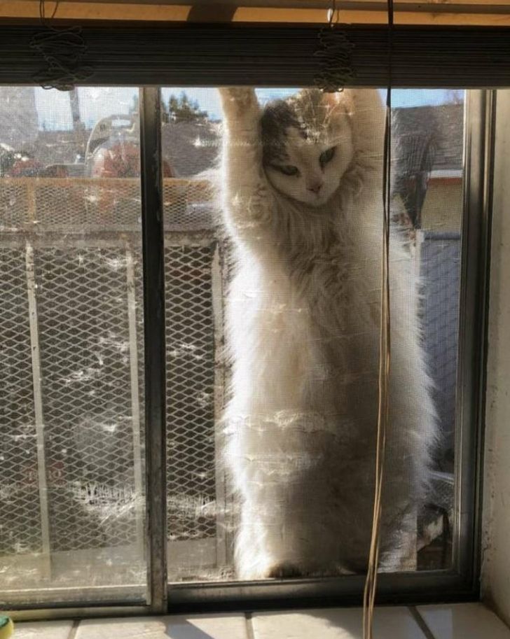 94c6665f7b9db82b3749218439