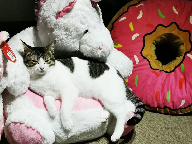 94d0b5567e8edd54d481b04187