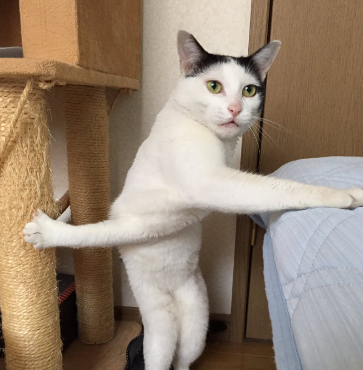 94d810525ca520c79081908774