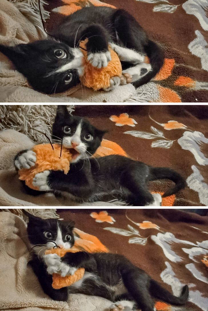 94dffd51e5a4926421963d9865