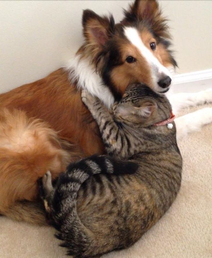 94e062558e8a13a539eda969fc