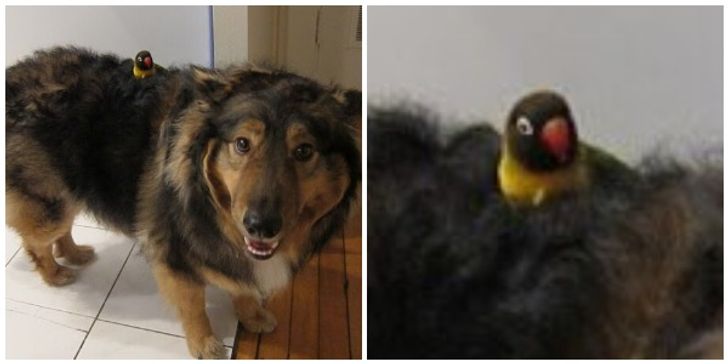 94e3ca5f69bbe03d23a607241f