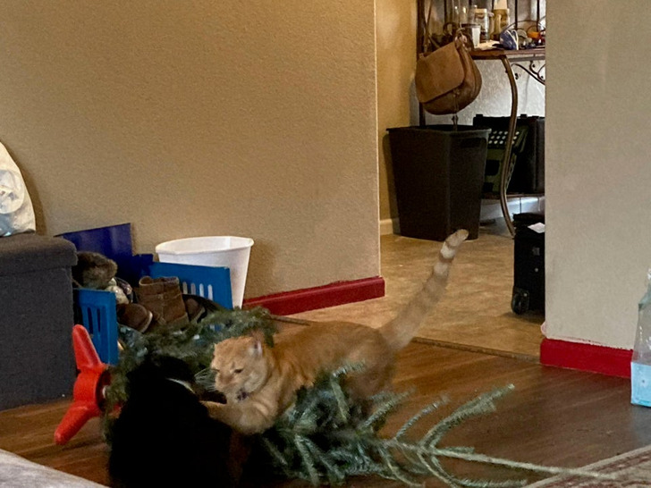 94ec035ae9b6f70644d83d6e74 94ec035ae9b6f70644d83d6e74