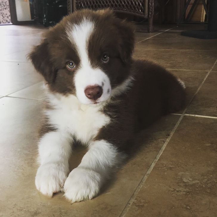 94f33a5ba9bc6d8205063d7f84