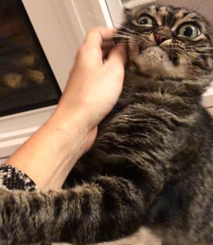 94fe105f3c922743cf4b1ab228