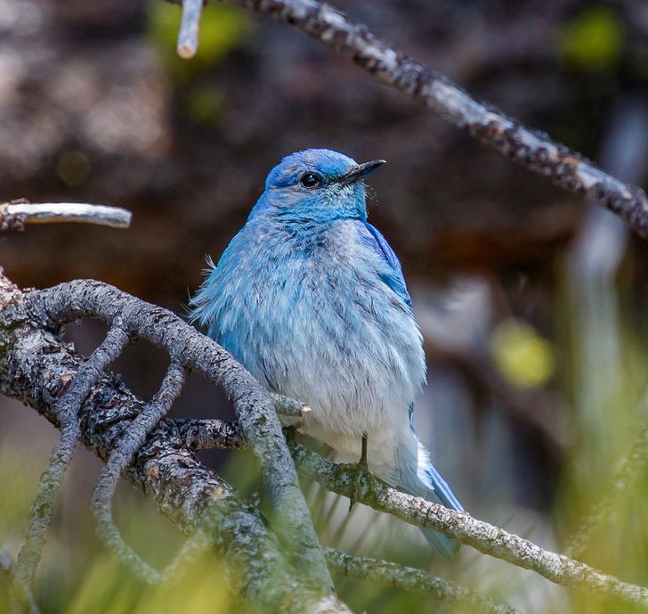 950322523bb24641999d99a0b4