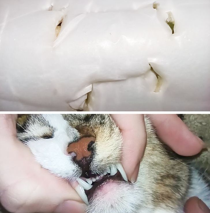 95032e5a9fbc45771c9be9d607