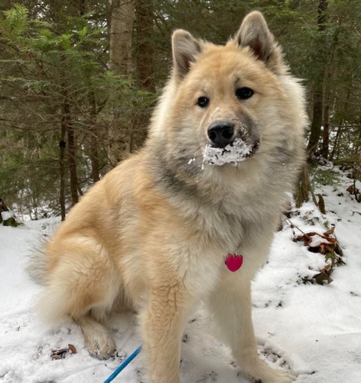 950eec5738ba04381a97dc046d